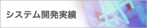 システム開発実績